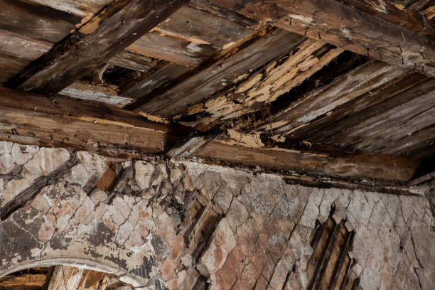 istock Old and rotting wooden ceiling in an abandoned house 1133231864