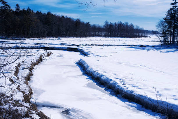 рэйчел карсон национальный заповедник зимний пейзаж - rachel carson стоковые фото и изображения