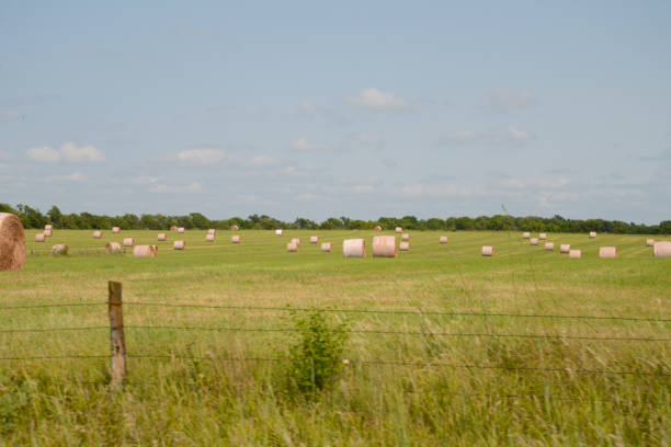 istock Blue sky and open field with hay bales 1133234060