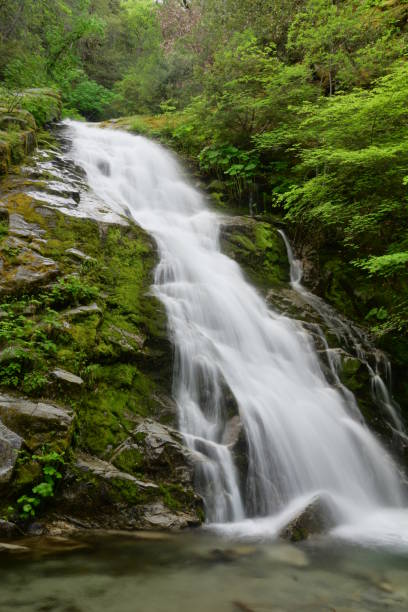 istock Waterfalls in Whiskeytown National Park 1133234598