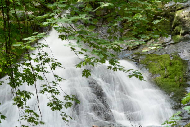 istock Waterfalls in Whiskeytown National Park 1133234749