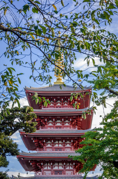 tempio del buddismo sensoji - shinto japan temple nature foto e immagini stock