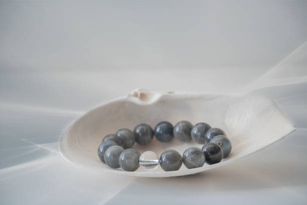 Black Tourmaline bracelet in a seashell with a soft greyish white background.