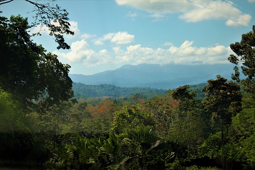 Cerro Chirripó, Costa Rica’s highest mountain at 3,820 meters (12,533 feet), looms in the distance with a lush Tropical Rainforest in the foreground.