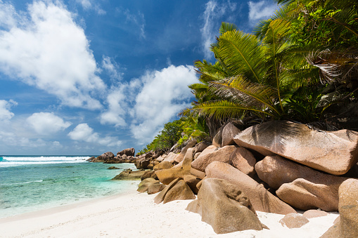 Perfect white beach Anse Cocos in La Digue, Seychelles with granite boulders and palm trees