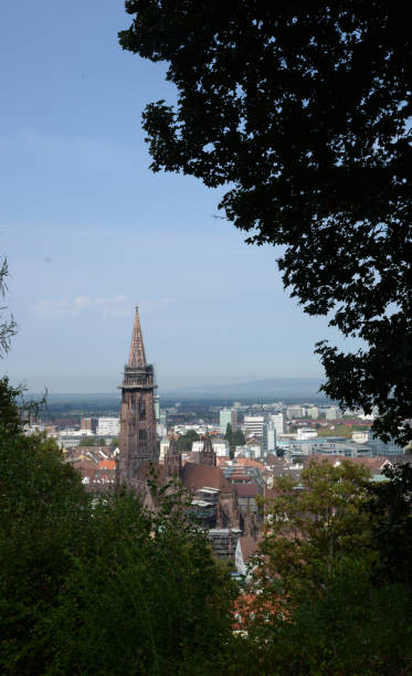 istock Freiburg with Muenster 1133250816