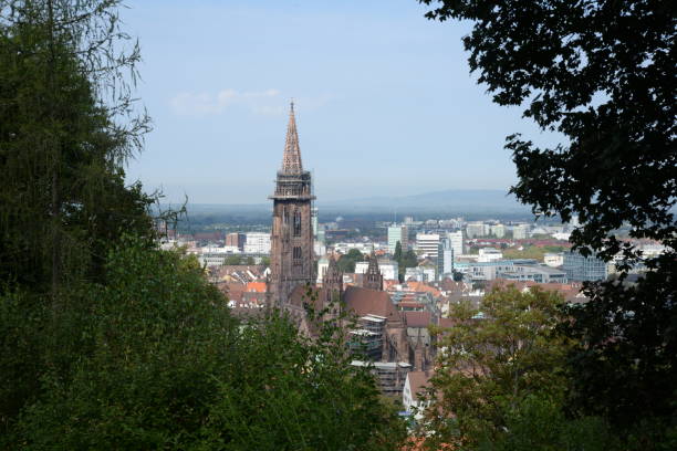 istock Freiburg with Muenster 1133250819