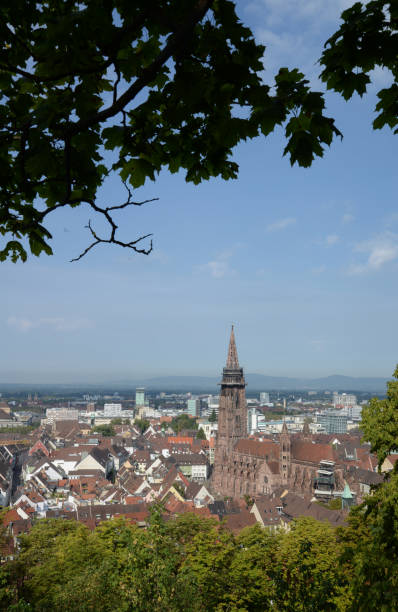 istock Freiburg with Muenster 1133251346