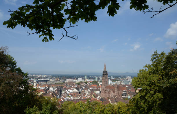 istock Freiburg with Muenster 1133251356