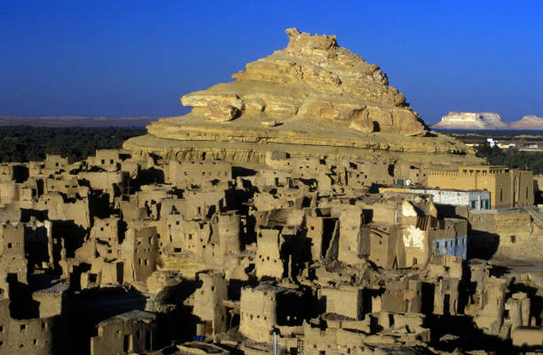 áfrica egipto sahara siwa oasis - town of egypt fotografías e imágenes de stock