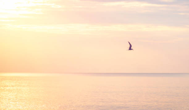 istock Beautifull sunrise at black sea 1133254000