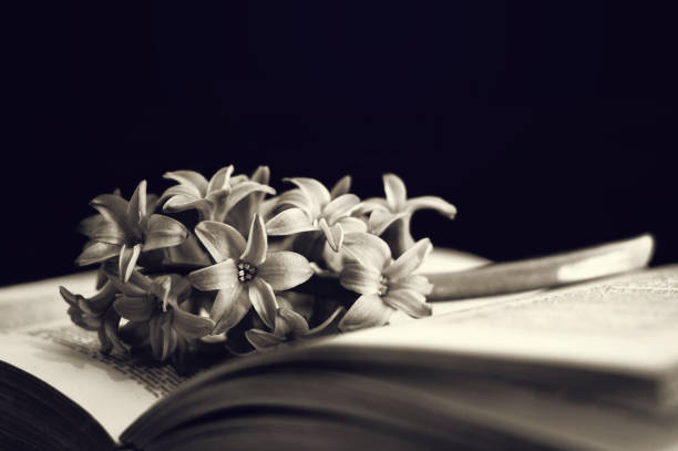istock Sympathy card with flower and open book 1133256361