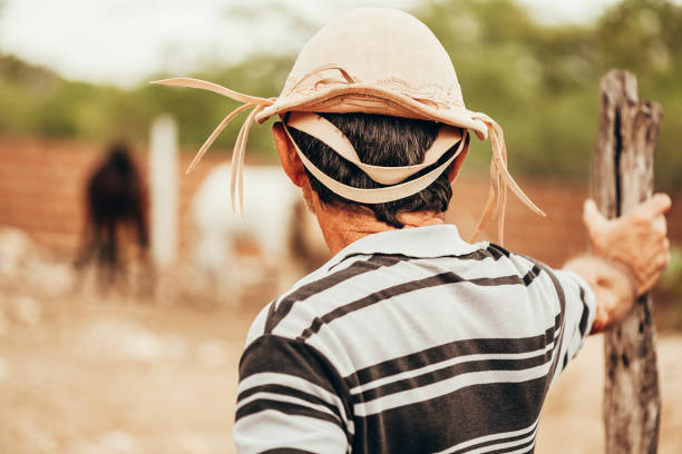 retrato do cowboy do nordeste brasileiro que desgasta seu chapéu de couro típico. - men hat leather senior adult - fotografias e filmes do acervo