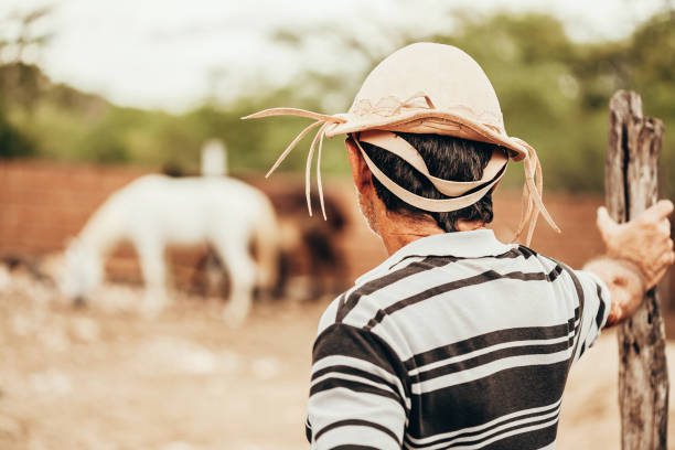 retrato do cowboy do nordeste brasileiro que desgasta seu chapéu de couro típico. - men hat leather senior adult - fotografias e filmes do acervo