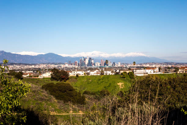 istock Los Angeles Skyline 1133259013