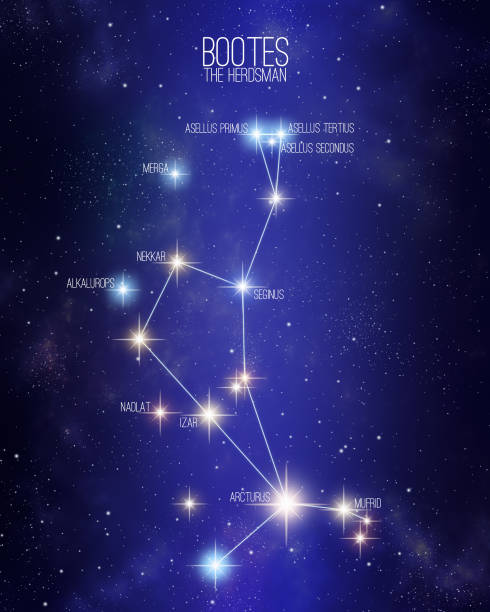 загрузки созвездия пастуха на звездной иллюстрации неба - bootes stock illustrations