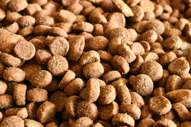 istock Cry Cat Food Close Up 1133266465