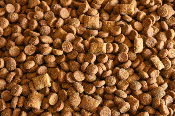 istock Cry Cat Food Close Up 1133266468