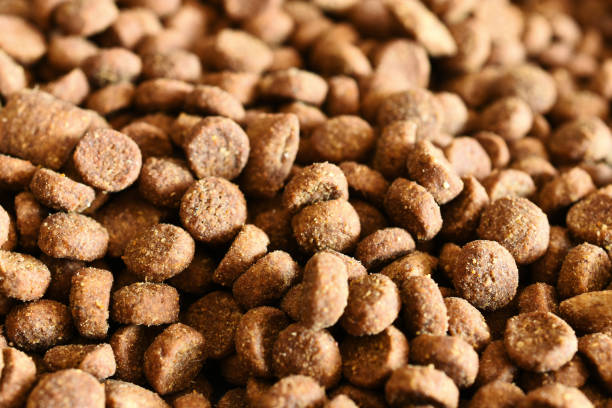 istock Cry Cat Food Close Up 1133266477