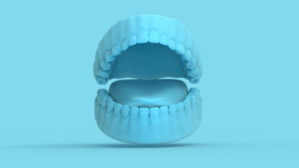 zahn und gummi 3d form auf pastellblaue vorlage bg öffnen - laboratory dentures dental hygiene human teeth stock-fotos und bilder