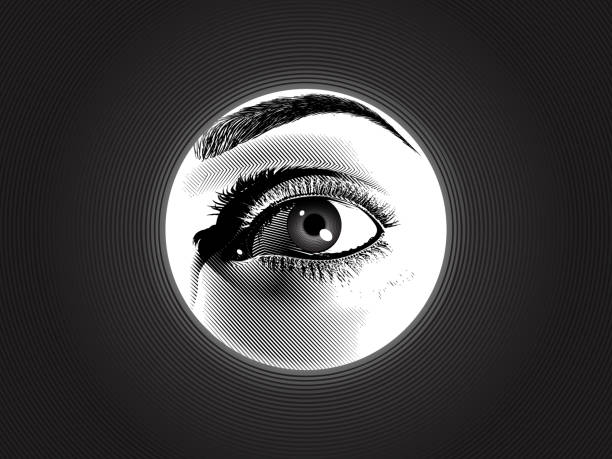 Engraving spy eye drawing in monochrome illustration Monochrome black and white engraving drawing human eye hidden spy in the dark blue hole background illustration with mystery and detective mood woman spying through a keyhole stock illustrations