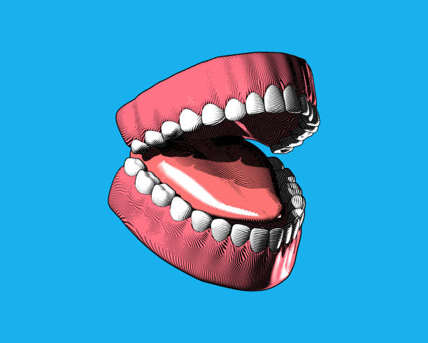 istock Engraving tooth and gum illustration on blue BG 1133270775