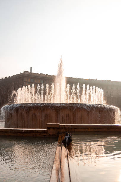 istock Birds at fountain in Milan 1133272398