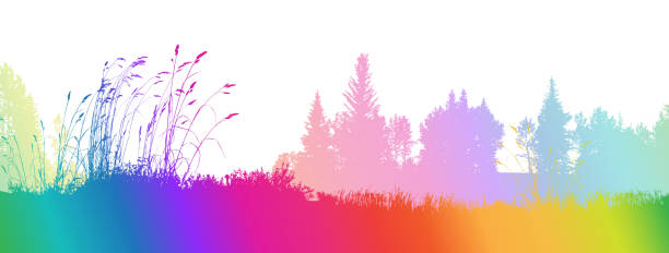 Wheat Grass Plains Rainbow Wheat Grass Plans Rainbow silhouette evergreen tree back lit pink stock illustrations