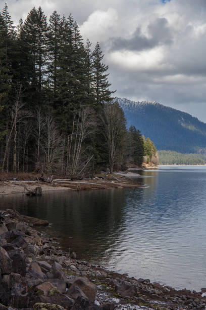 istock Lewis river view in Washington state 1133272754