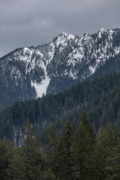 istock Snowy forest view in Washington state 1133274180