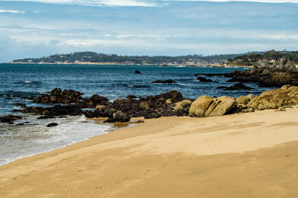 istock Carmel River State Beach in California 1133274973