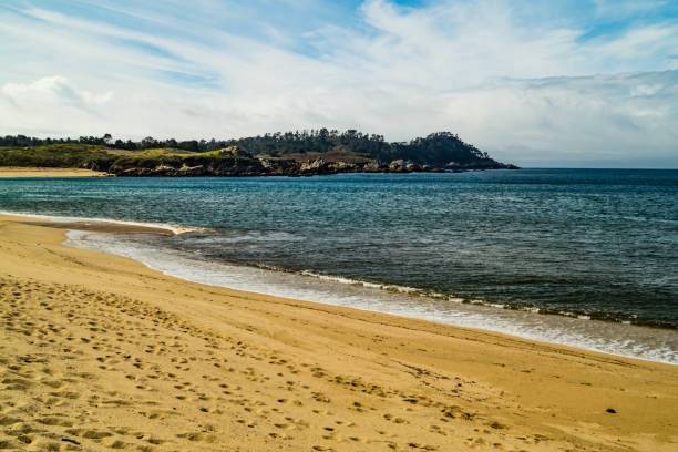istock Carmel River State Beach in California 1133274992