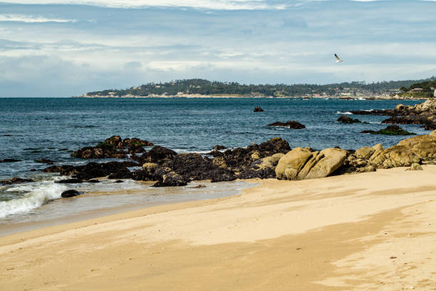 istock Carmel River State Beach in California 1133274994