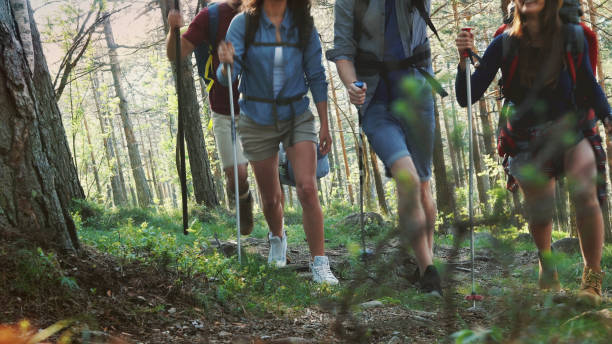 istock Friends at team building 1133275234