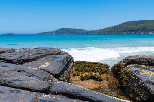 vista sobre las rocas en la playa de guijarros, una popular zona de acampada con gran playa de surf y paseos por el monte en el parque nacional murramarang, nsw, australia - parque nacional murramarang fotografías e imágenes de stock