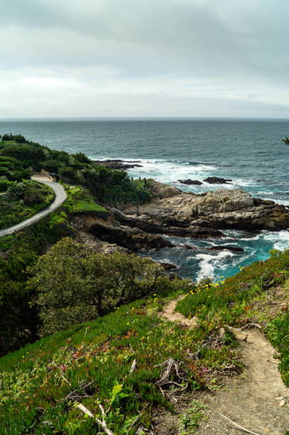 istock California coastline near Point Lobos State Natural Reserve 1133278445