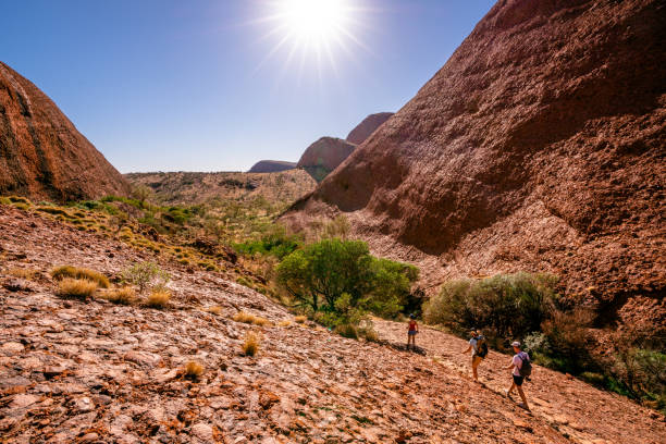 people walking under blazing sun on hot summer sunny day in the olgas nt central outback australia - olgas imagens e fotografias de stock