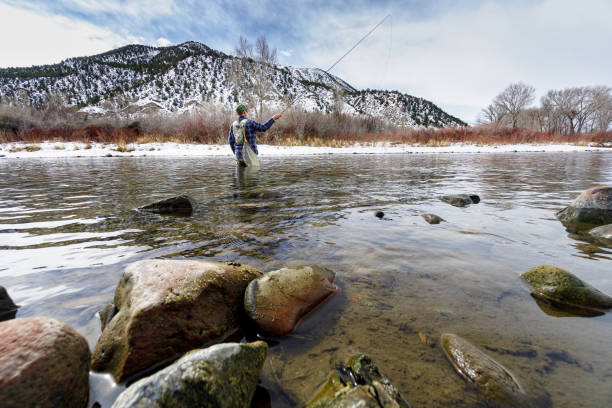 istock Fly Fisherman Wading in River 1133284926