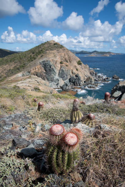 istock U.S. Virgin Islands National Park - Ocean Landscape 1133293211