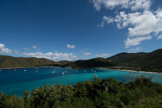 istock U.S. Virgin Islands National Park - Ocean Landscape 1133293978