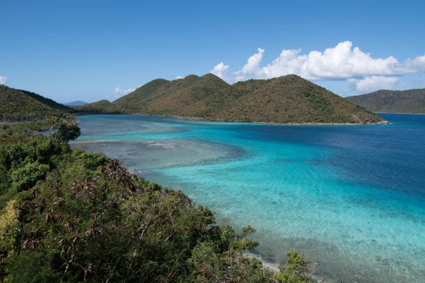 istock U.S. Virgin Islands National Park - Ocean Landscape 1133294001