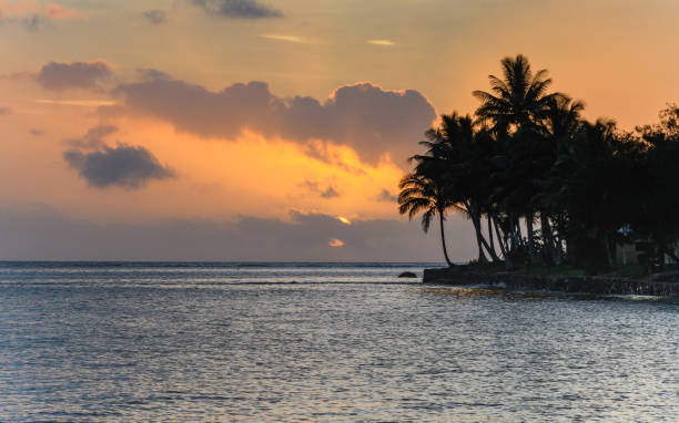 istock Tropical Sunset Seascape with Palm Trees 1133295330