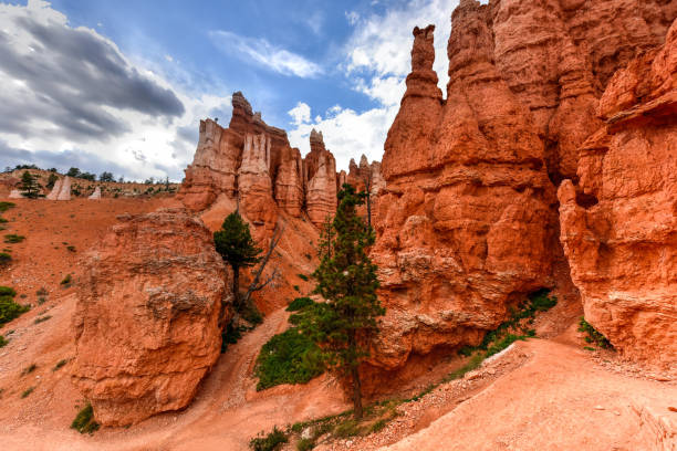 istock Bryce Canyon National Park 1133296955