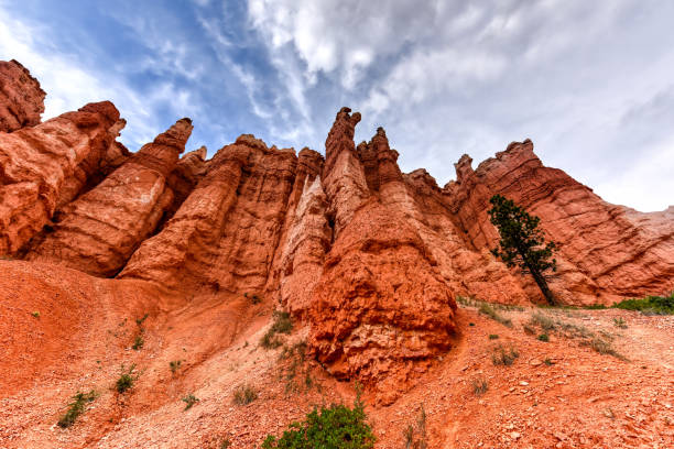 istock Bryce Canyon National Park 1133297527