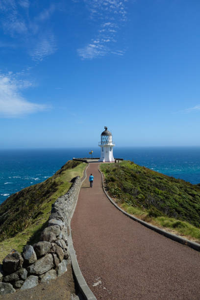 istock New Zealand Cape Reinga 1133297568