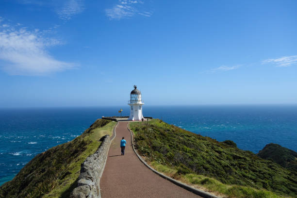istock New Zealand Cape Reinga 1133297571