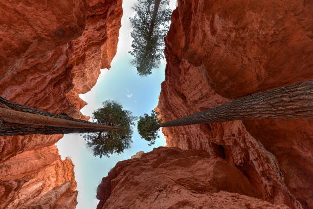istock Bryce Canyon National Park 1133298463