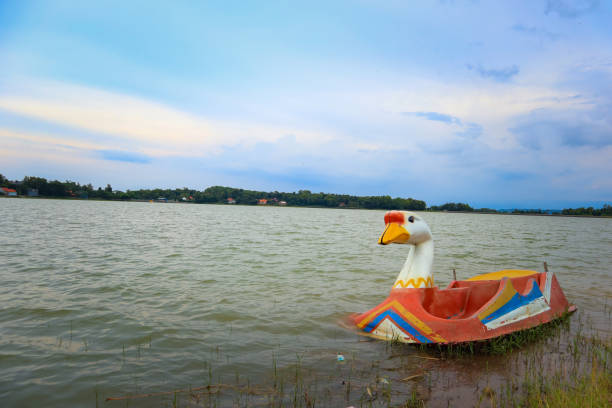 istock goose swan boat in the lake 1133301727