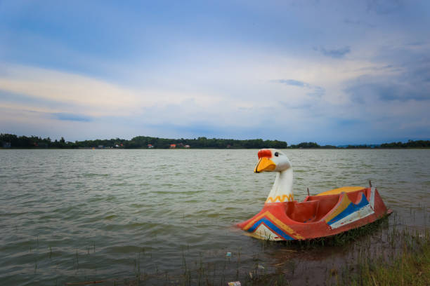 istock goose swan boat in the lake 1133301739