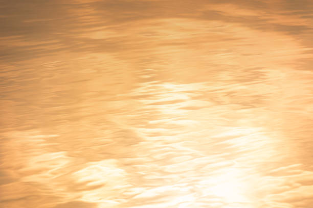 Golden surface of water at sunset. Texture water
